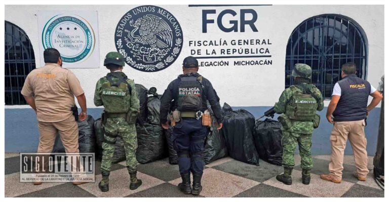 SSP, SEDENA y FGE aseguran 230 kilogramos de marihuana en Zitácuaro, el valor de lo incautado asciende a los 8 millones de pesos