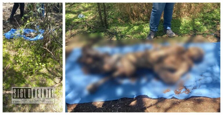 Identifican ocho de los 22 cadáveres localizados en fosas clandestinas en Villamar
