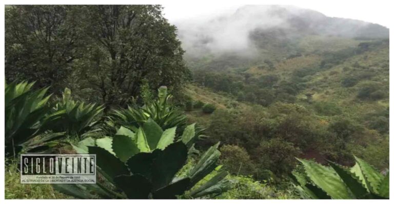 Capacitan a mezcaleros de Tzitzio sobre buenas prácticas ambientales en producción de mezcal
