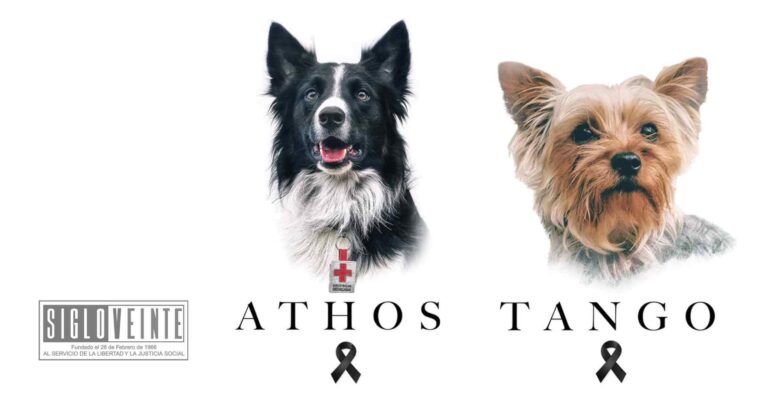 El estado de Querétaro sienta precedente, sujeto fue condenado a una condena de 10 años por el asesinato de dos perritos
