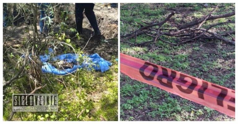 En huerta de aguacates de Uruapan, fue encontrada fosa clandestina con 11 cadáveres
