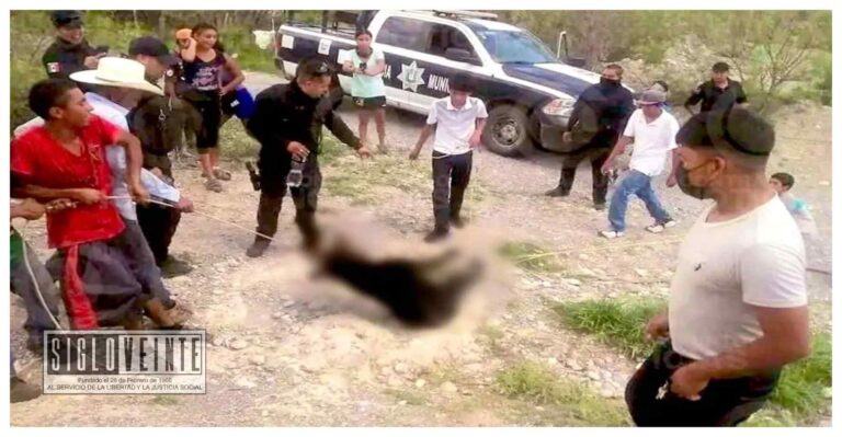 Entre risas y ante policías, torturan hasta la muerte a osito en Coahuila, su especie está considerada en peligro de extinción