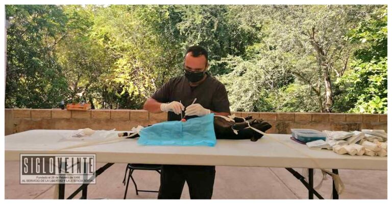 Para evitar la proliferación callejera de animales, esterilizan a 40 perros y gatos en Carácuaro