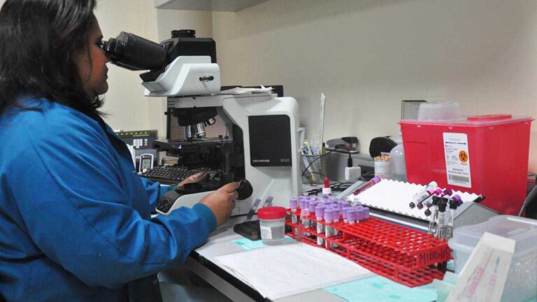 Confirman en México el primer caso de influenza aviar AH5N1