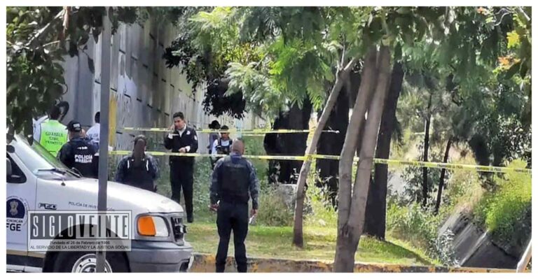 Aparece colgado un hombre en un árbol debajo de un puente vehicular en el Libramiento Norte de Morelia