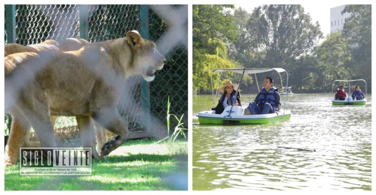 Si vas a Morelia ¡No te pierdas las actividades por el 52 aniversario del Zoológico!