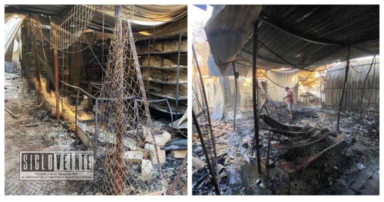 35 locales quemados y 30 puestos semifijos dañados, fue el saldo del incendio en mercado de Ciudad Altamirano: alcalde de Pungarabato