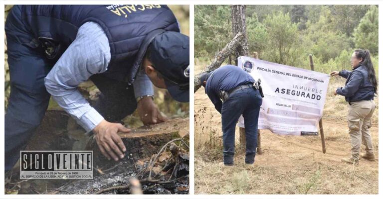 En el municipio de Pátzcuaro talaron zona arqueológica para plantar aguacates, ya fue asegurado el inmueble