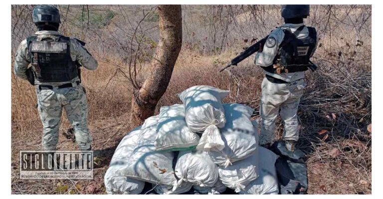En Huetamo, la Guardia Nacional localiza costales con marihuana ocultos en la maleza