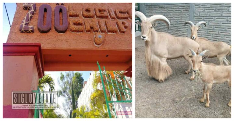 En el Zoológico de Chilpancingo, sacrifican animales y los cocinan para fiesta de fin de año