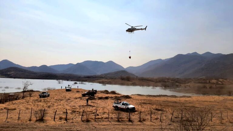 Disponibles dos helicópteros del estado para combatir incendios: Ramírez Bedolla