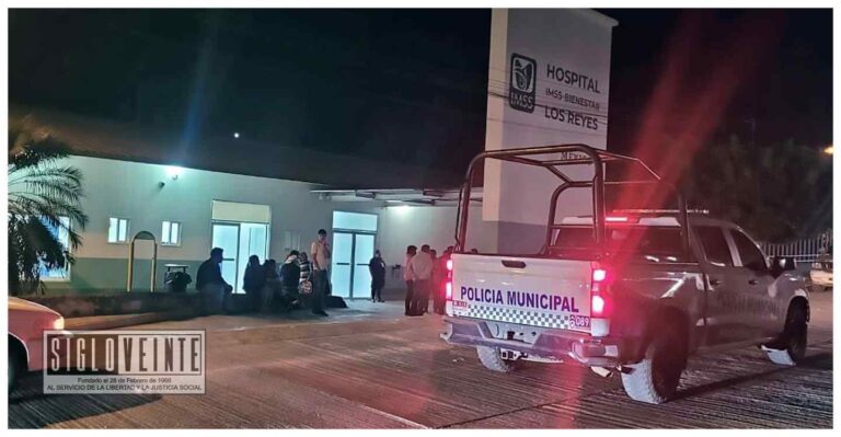 Abuelito que presuntamente buscaba un tesoro, perdió la vida al ser atacado por abejas