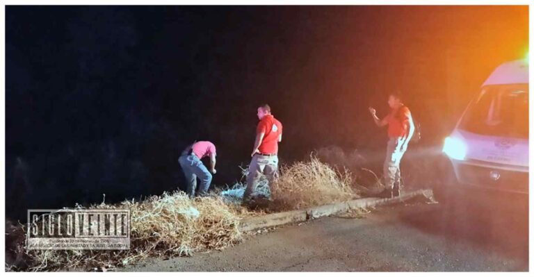 Encuentran sin vida a un hombre en la carretera Huetamo- San Lucas cerca de Purechucho