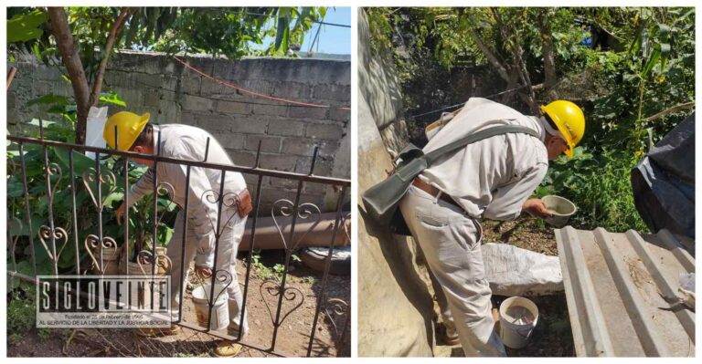 Ante las lluvias, refuerza desde casa esta estrategia para prevenir el dengue, lava, tapa, voltea y tira todo aquello que acumule agua