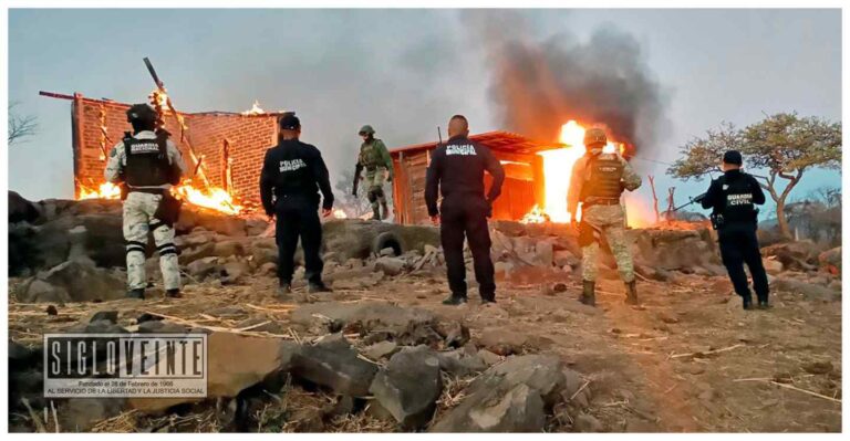 Tras agresión, fuerzas estatales y federales localizan y desmantelan campamento ilícito en Zitácuaro
