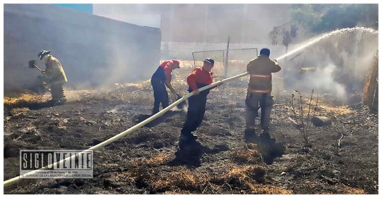Bomberos de Zitácuaro rescatan a 4 gatitos de morir en un incendio de un lote baldío