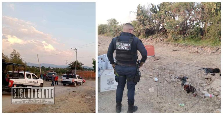 La Guardia Civil detectó y “reventó” palenque de gallos clandestino en el poblado de Buenavista