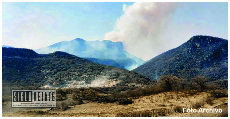 Los municipios de Huetamo, Morelia, Cotija y Uruapan presentan mayor superficie dañada por incendios: COFOM