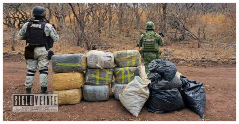 En Turicato, la Guardia Nacional y el Ejército Mexicano destruyen narco laboratorio y decomisan 590 kilos de cristal y 150 kilos de marihuana