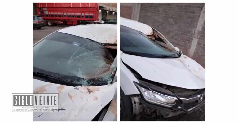 Hombre es atropellado y desmembrado en carretera Morelia-Salamanca