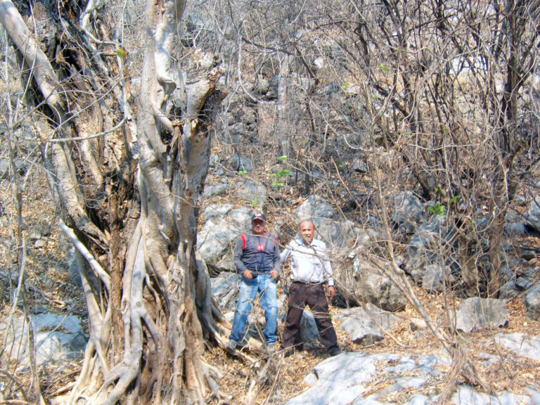 Cerro del Mono en Mal Paso