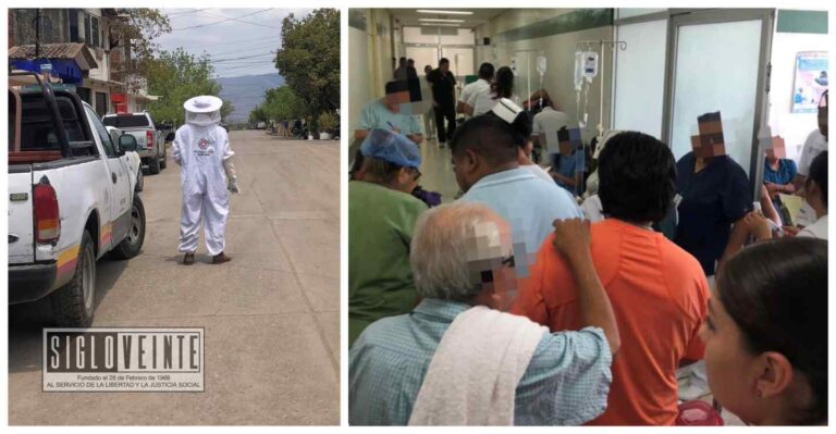 Abejas atacan a varias personas en la Unidad Deportiva de Huetamo, el Hospital Rural del IMSS Bienestar se encuentra saturado