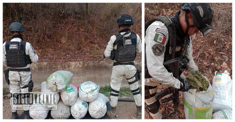 La Guardia Nacional localiza en el municipio de Susupuato 64 kilos de marihuana en costales