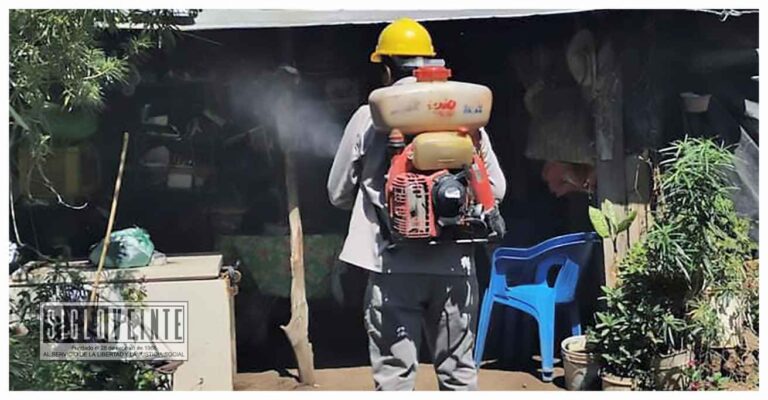 Michoacán reporta baja incidencia en casos de dengue, de enero a la fecha la entidad registra solo 52 casos: SSM