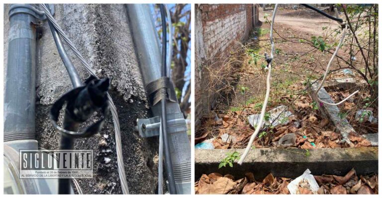 Preocupante situación por robos de energía en el Panteón El Sagrado Corazón de Jesús de Cútzeo, habitantes exigen acción inmediata de la CFE