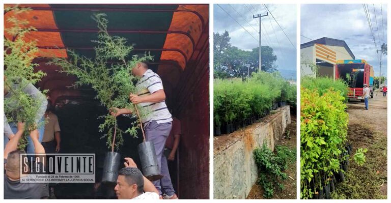 Queremos un municipio verde, por lo que nos preparamos para plantar 3 mil árboles: Cornelio Ríos Paniagua