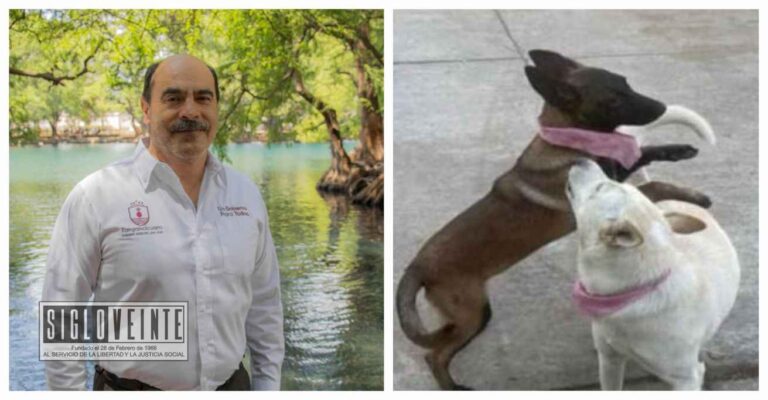 Alcalde de Tangancícuaro libra cárcel por muerte de Buba y Canela; llega a acuerdo pagando 38 mil pesos como reparación del daño
