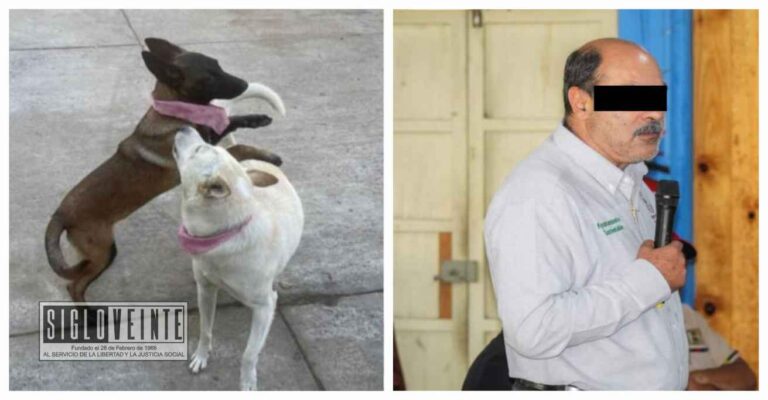 El alcalde de Tangancícuaro enfrentará juicio por la muerte de dos perritas