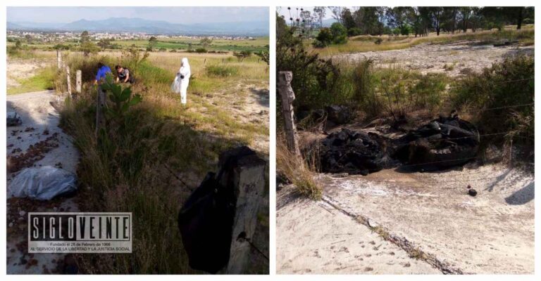 La FGE ya investiga el delito de crueldad animal por el hallazgo de 13 perritos calcinados en Maravatío