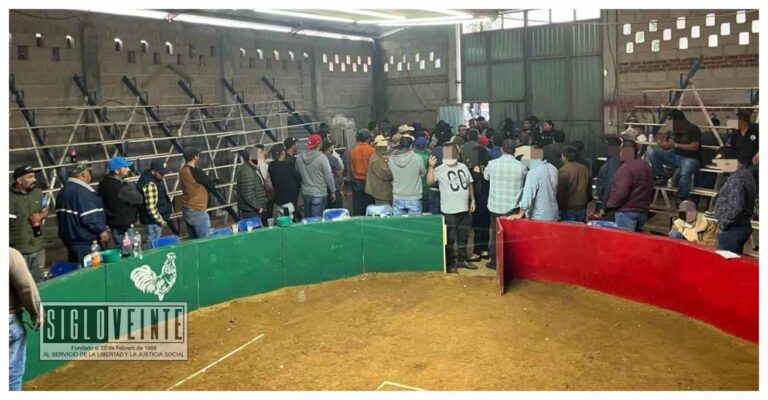 La SSP y GN desactivan palenque clandestino, en el municipio de Irimbo