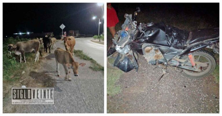 Choca motocicleta con una vaca cerca de la Gasolinería El Diamante de Huetamo