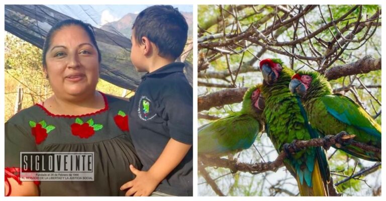 Del verde olivo al verde guacamaya; el espíritu de la conservación de un ave en peligro en Churumuco
