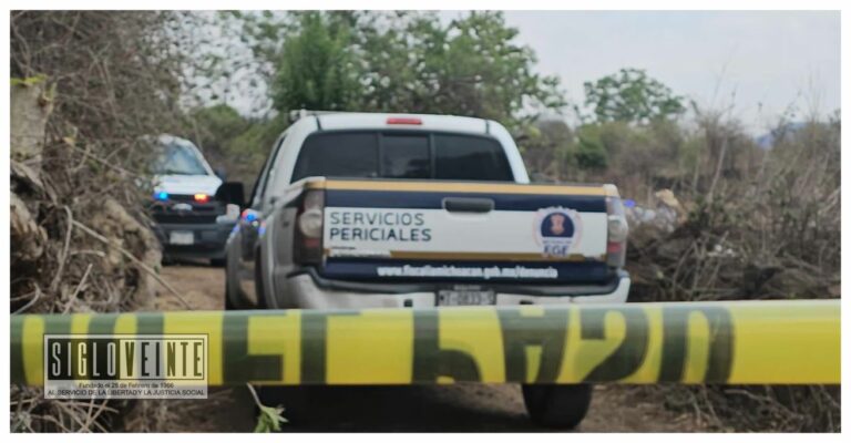 Encuentran cadáver putrefacto en Apatzingán, varias partes del cuerpo habían sido devoradas por roedores y otros animales