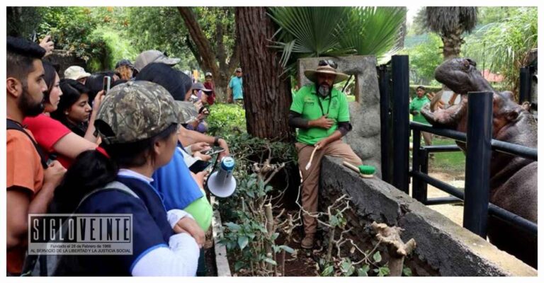 ¿Sin planes para este puente? El Zoológico de Morelia te ofrece múltiples atractivos