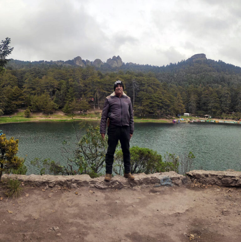 La destrucción de los bosques y su importancia en nuestra vida