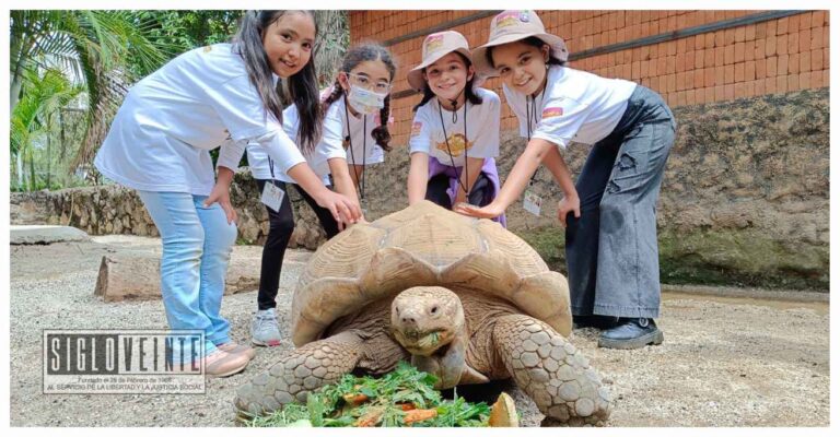En diciembre el Zoológico de Morelia tendrá descuentos y promociones, habrá experiencias educativas permitirán conocer más de cerca a los ejemplares