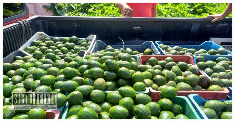 Juez sentencia a 210 años de prisión a Noel B., por el secuestro de tres personas que se dedicaban a la compra-venta de aguacate en Tacámbaro