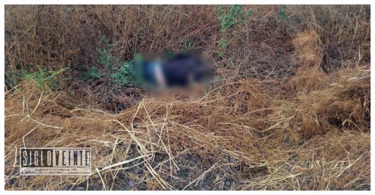 Localizan in hombre sin vida con huellas de violencia en El Tarepe