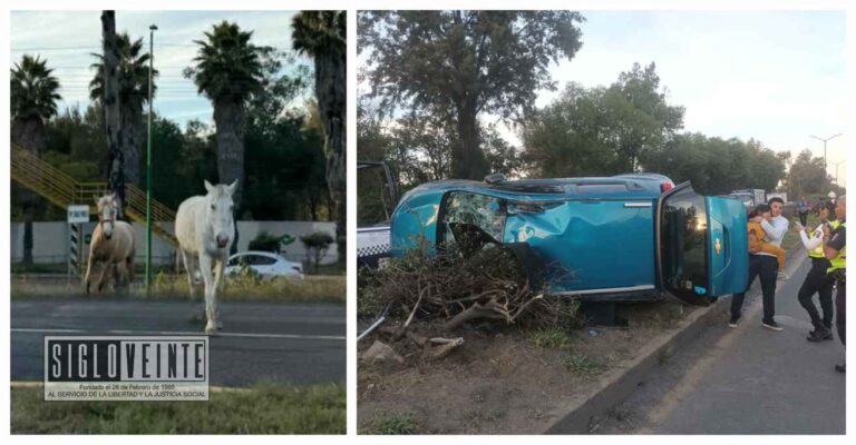 Por tratar de esquivar el paso de dos caballos, una mujer y sus hijos resultan lesionados en la Avenida Madero Oriente de Morelia