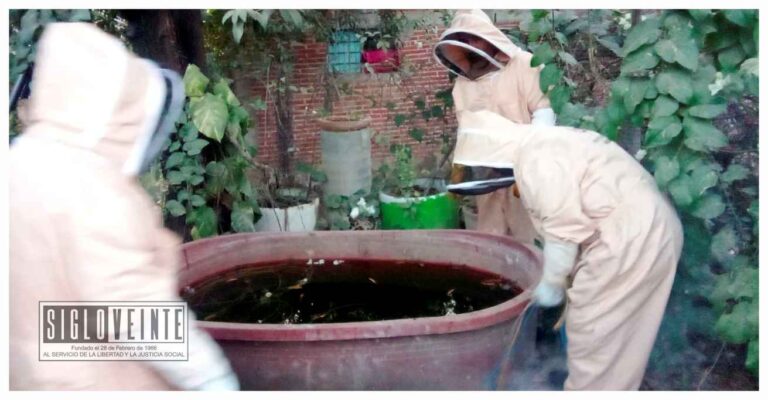 Cuerpos de emergencia de Huetamo retiran colmena de abejas que amenazaba un domicilio de la colonia Arroyo Seco