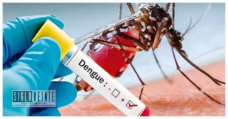 Se registra el segundo fallecimiento de una menor a causa de dengue en la región Huetamo