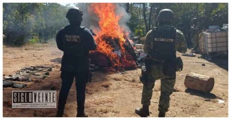 Localizan y destruyen 3 narcocampamentos en distintas comunidades del municipio de Apatzingán
