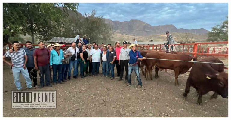 Atendiendo el compromiso de apoyar al sector ganadero del municipio de Nocupétaro, alcalde entrega sementales