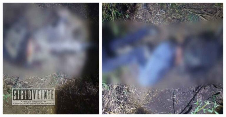 Siete hombres fueron ejecutados en campamento criminal en Chilchota, había dos personas decapitadas