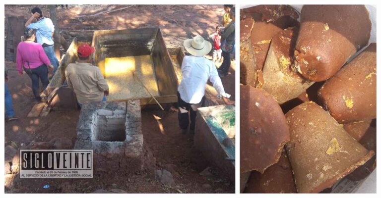 Ya viene la segunda Feria del Piloncillo en Tzitzio, participarán productores de Tzitzio, La Huacana y Turicato