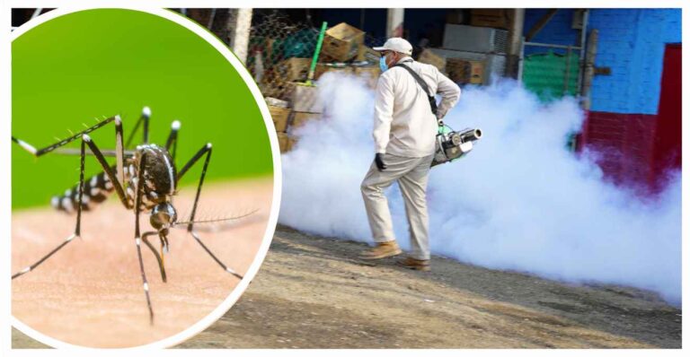 Michoacán en cuarto lugar nacional en casos de dengue; Huetamo tiene 212, Benito Juárez cuenta con 64 y Nocupétaro con 45